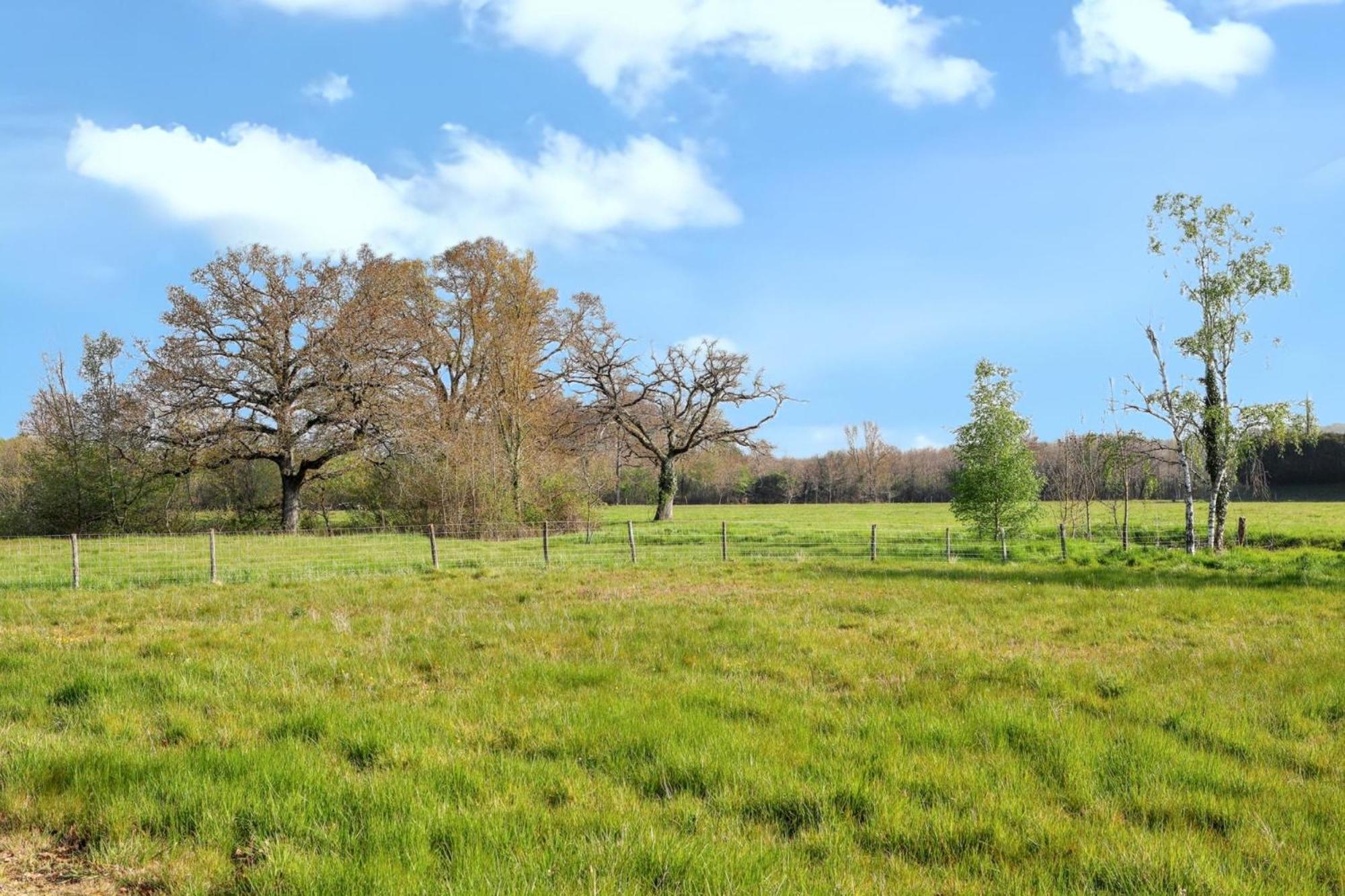 Appartement Cosy A Mont Pres Chambord 100 M² Terrasse 外观 照片